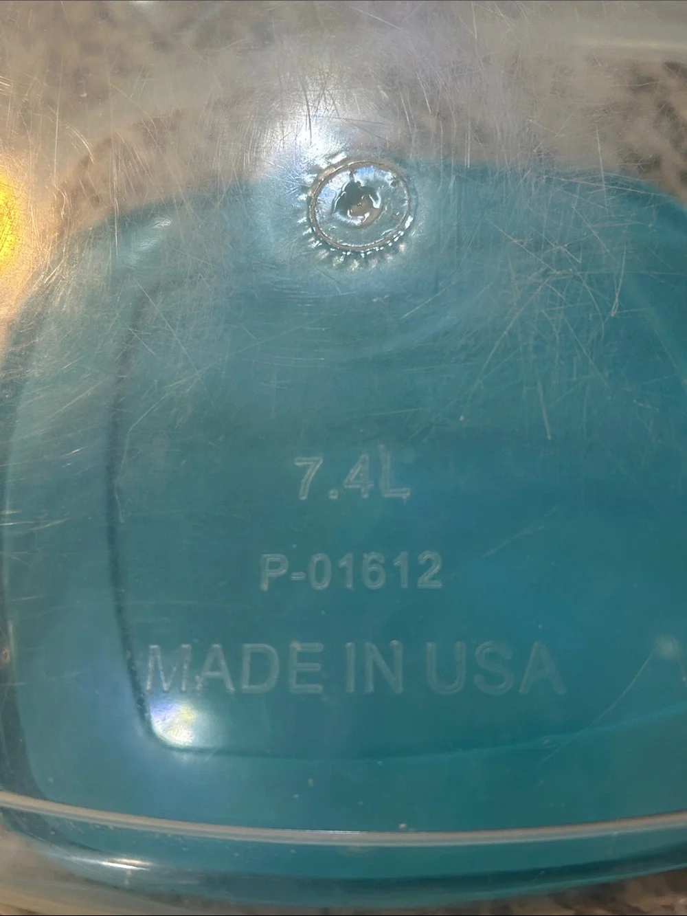 American maid clear food